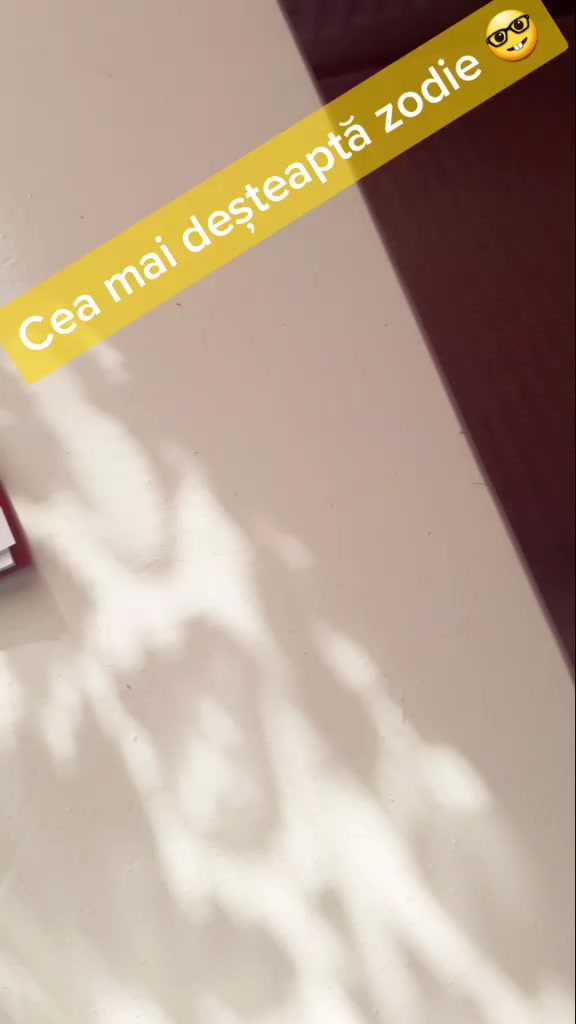 @Bia_Bianca