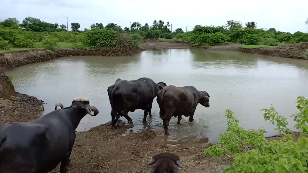@Hardik8920