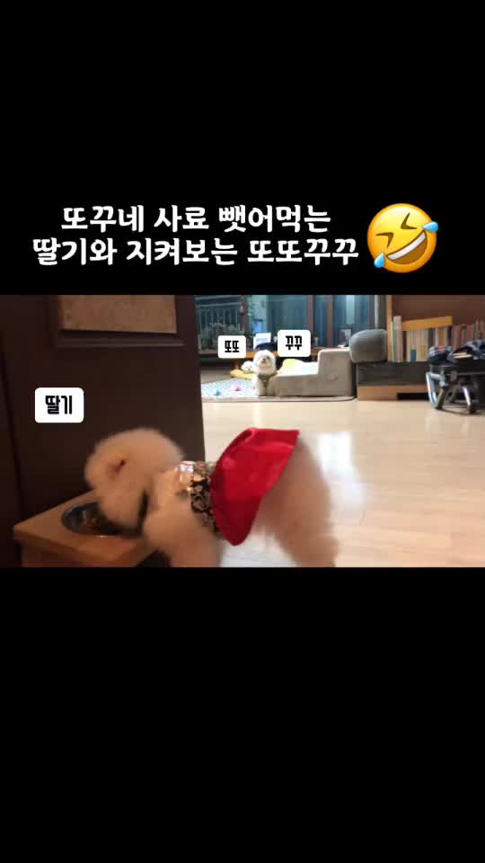 @또꾸네