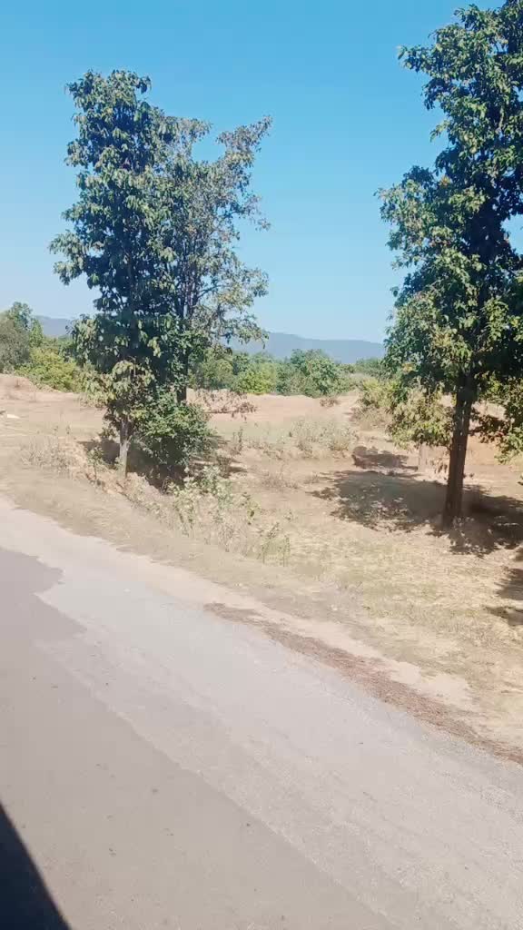 @Monu Dahariya
