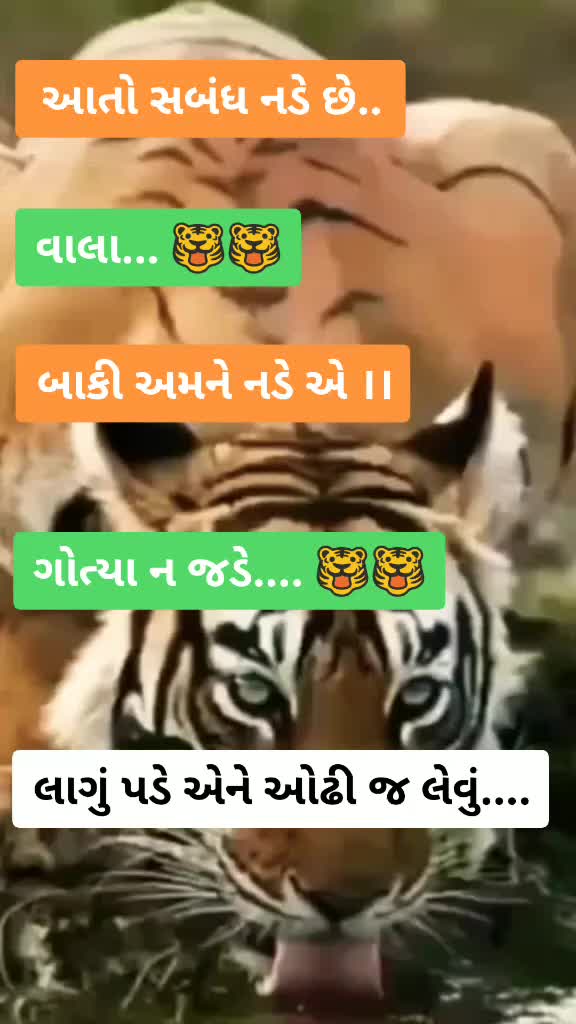 @RATHOD PRAKASH