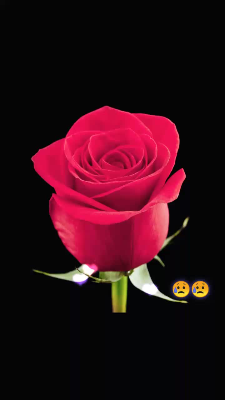 @user96339959498
