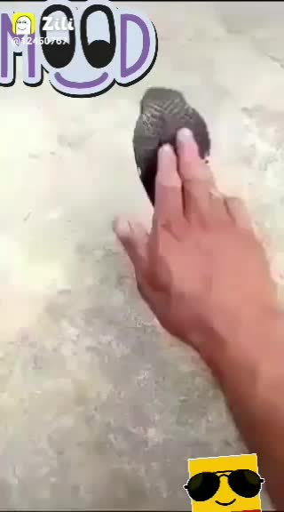 @@@@@,1234