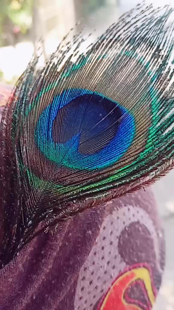 @Rahul Rokade