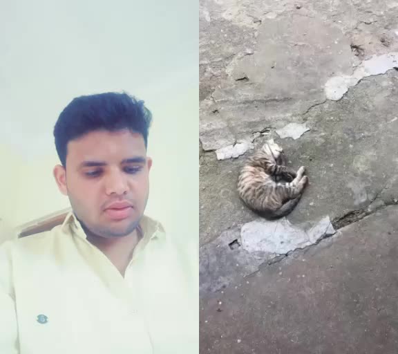 @Shahanawaz Ahmed