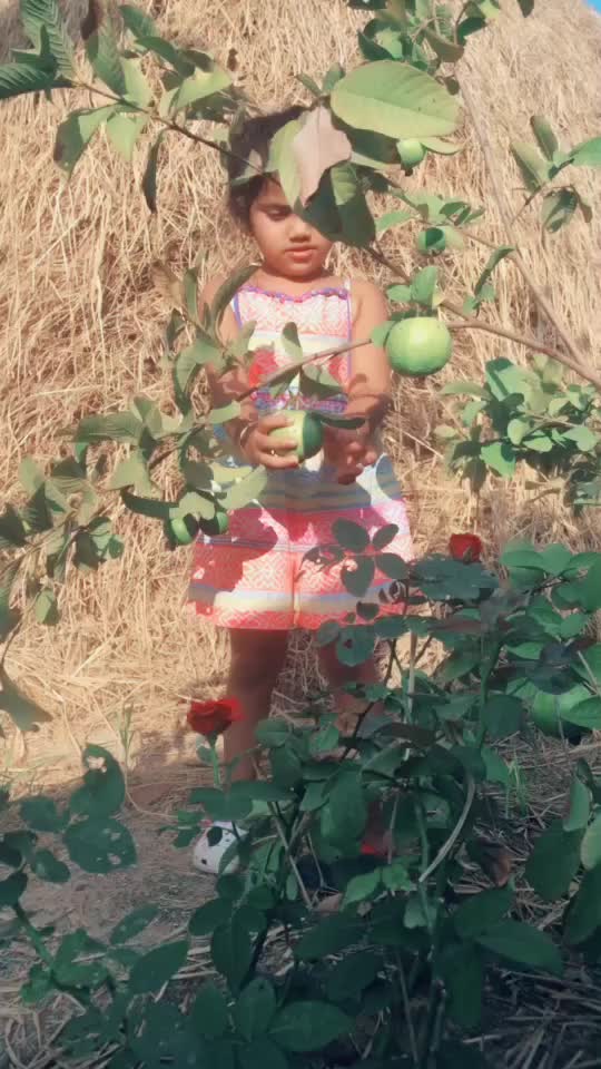 @Ramya Anguluri