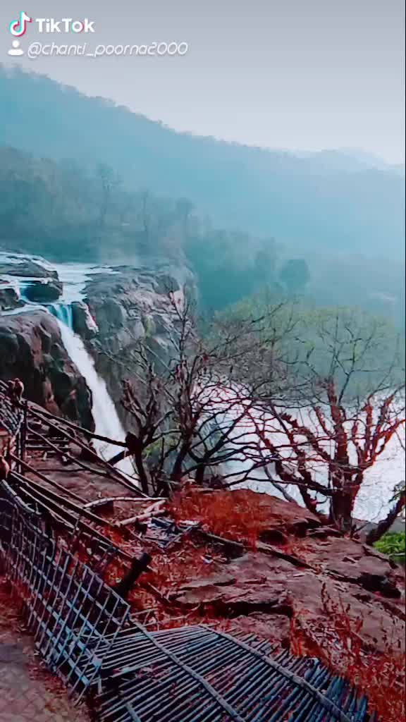 @jaya_sree