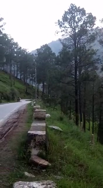 @Poonam Rana