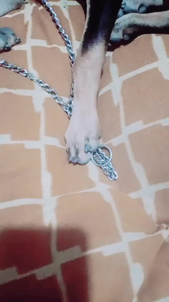 @user62775311494