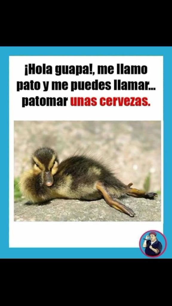 @memesxd