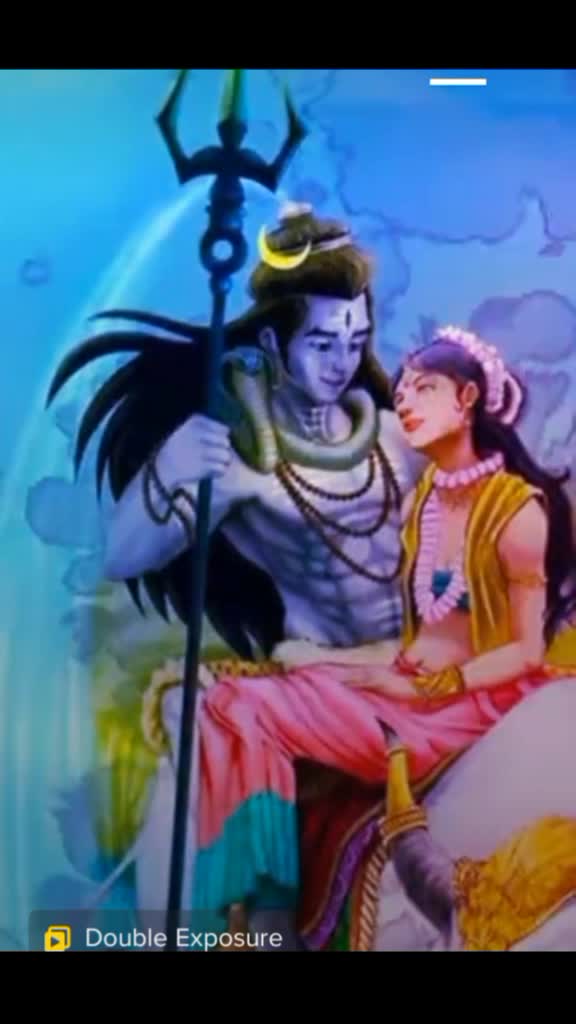 @user977929664556