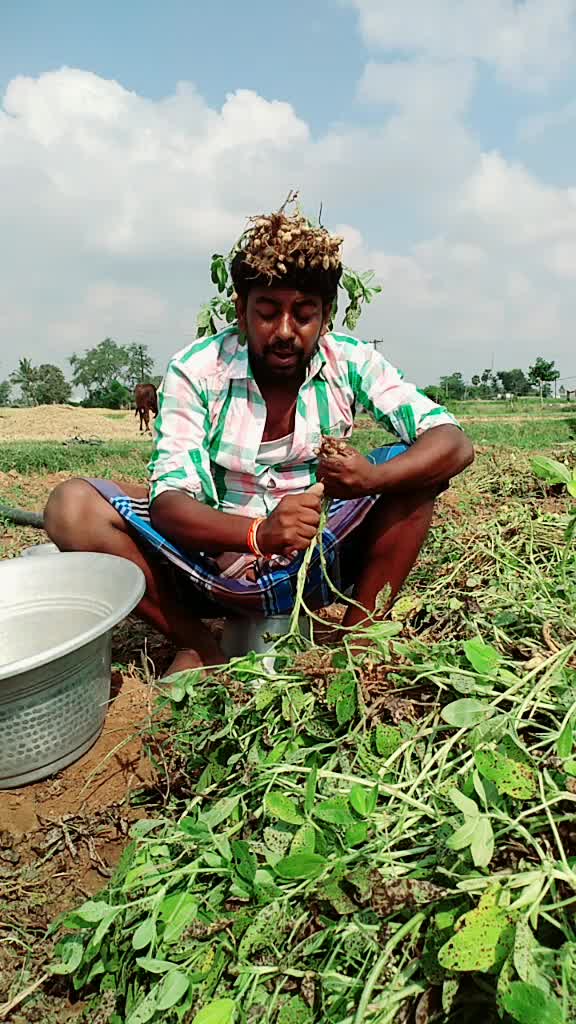 @உழைக்கும் விவசாயி