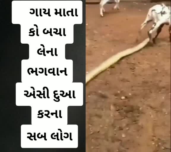 @👹 surya9237👹