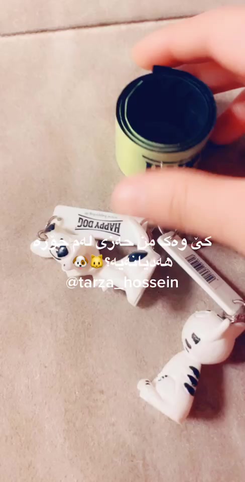 @تەرزە حسێن