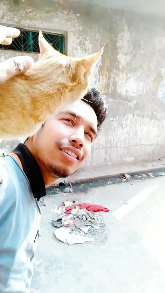 @Yogi Yadav