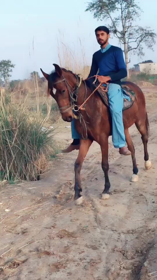 @CH Sarfraz Guجar