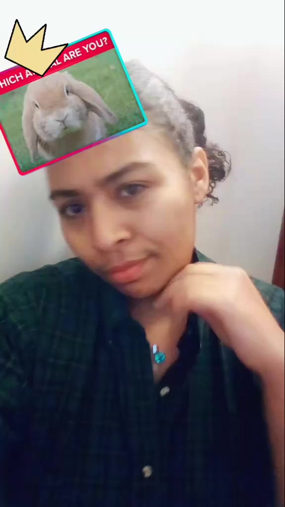 @Virgilsback01