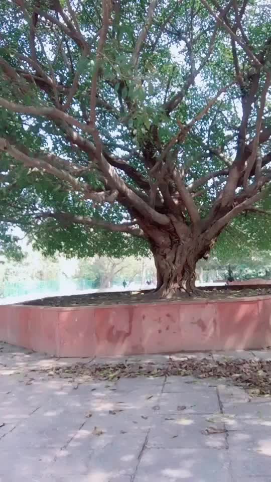 @sonam.rawat