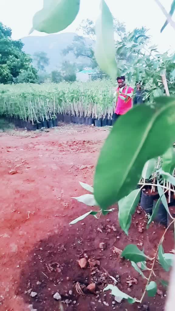 @kishor tandale
