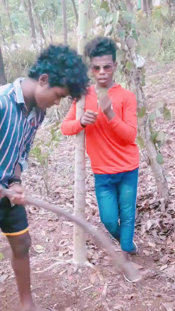 @👑sourav m caZrod👑