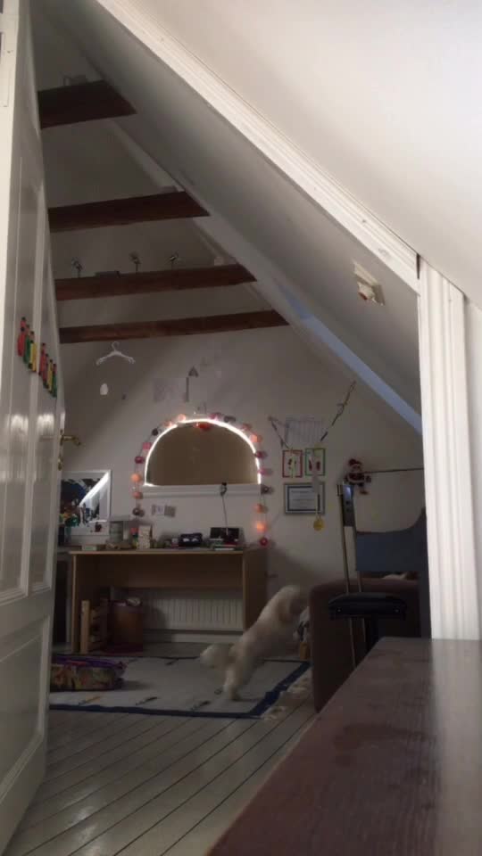 @hubertus.forsberg