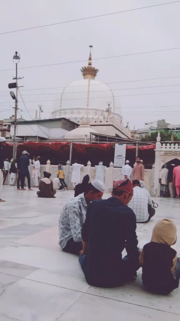 @tauqeershaikh2526