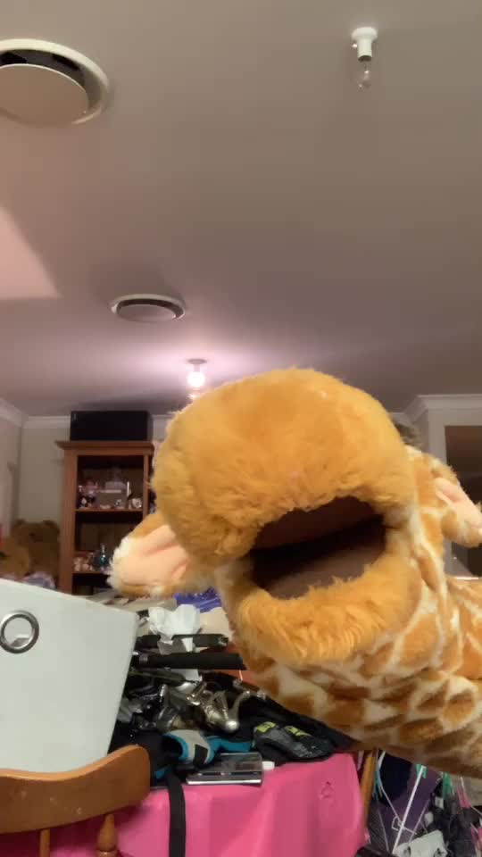@giraffe97