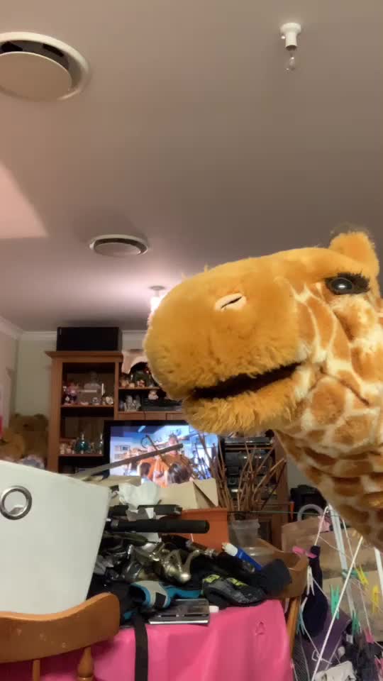 @giraffe97