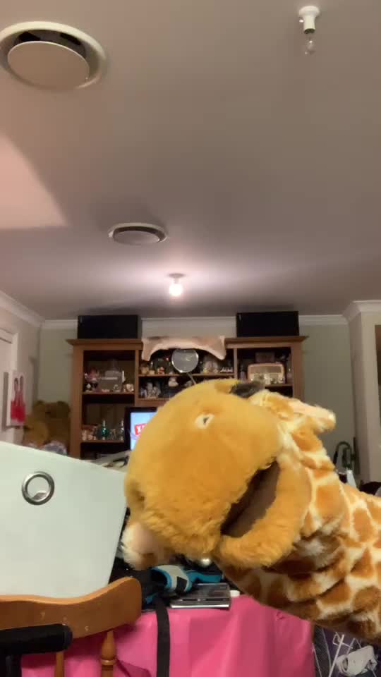 @giraffe97