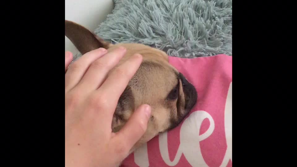 @Mel&iacute;k❤️