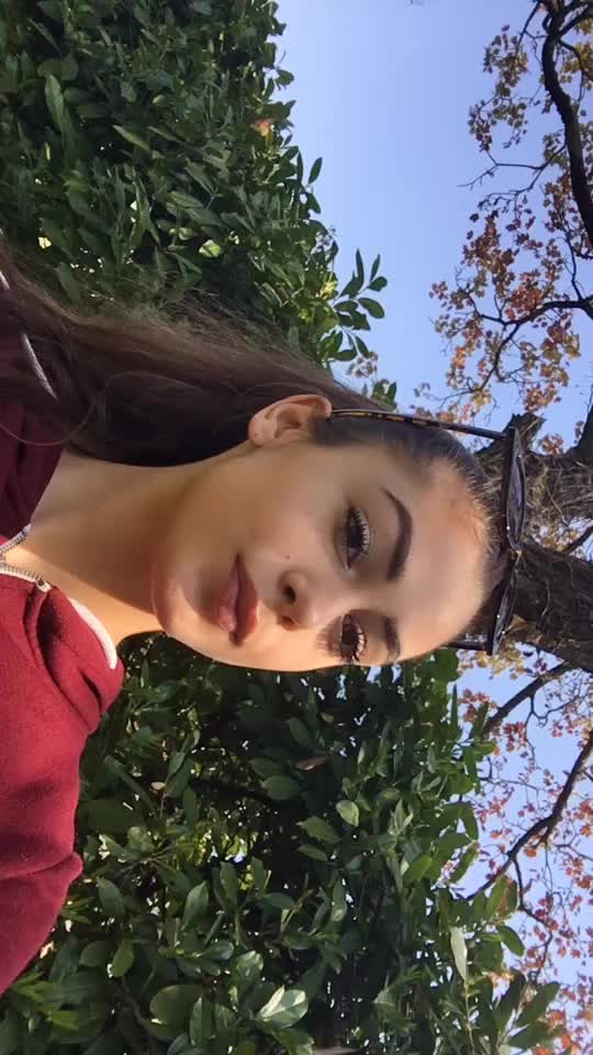 @Vitto🍇🐆