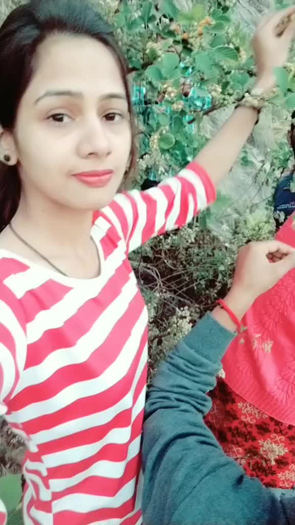 @anshikadwivedi
