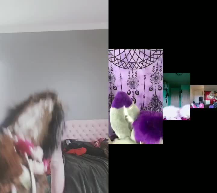 @neko and whitefang