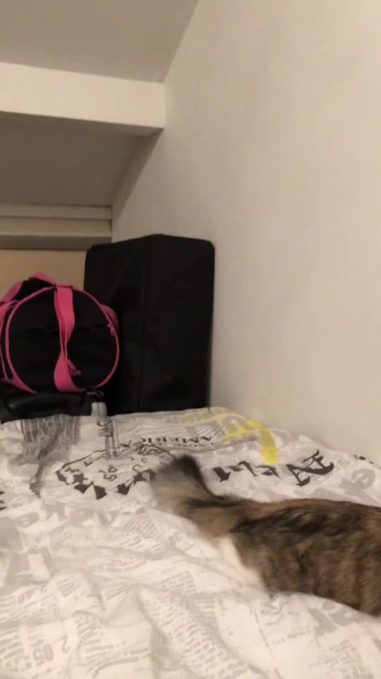 @Julia Anisselo