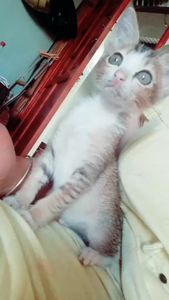 @C&ocirc; Nhi