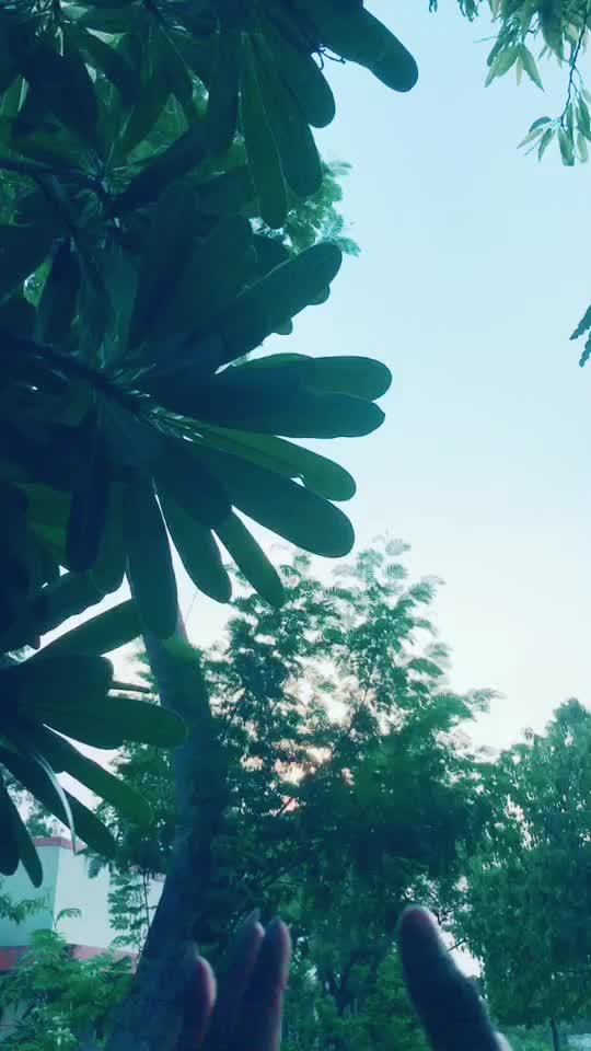 @RhemaAshok