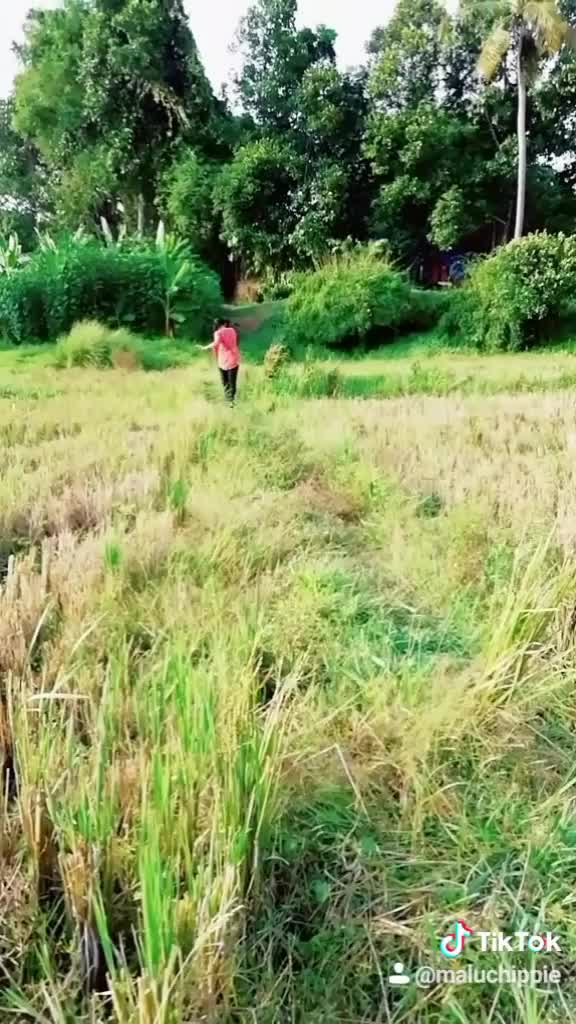 @Haritha Hari Pillai