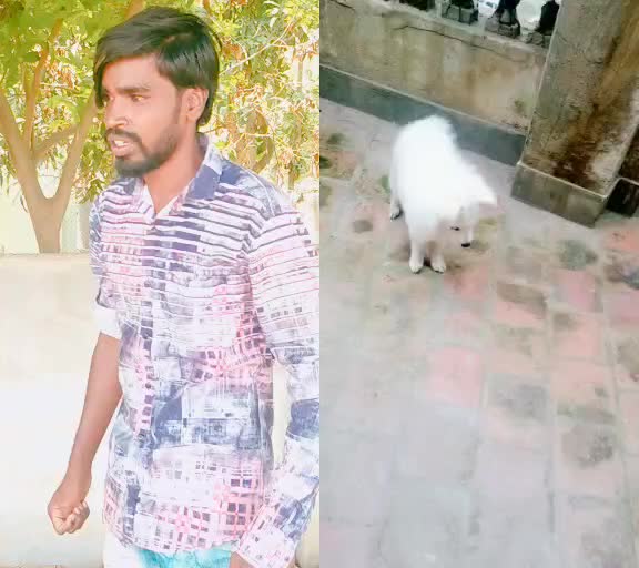@ಶಂಕರ್ ನಾಗ್ ವಿಜಯ್