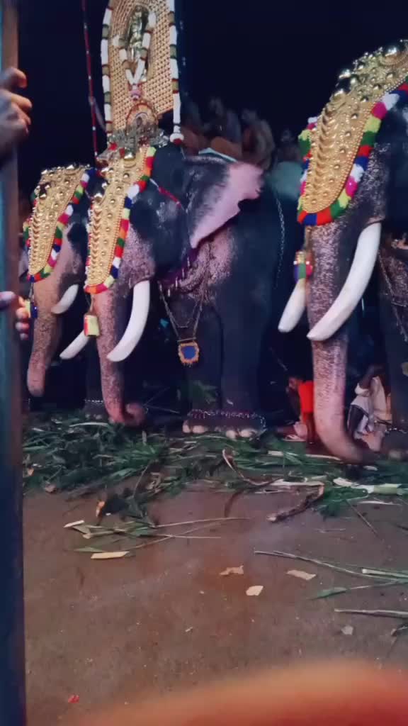 @Ajith_km