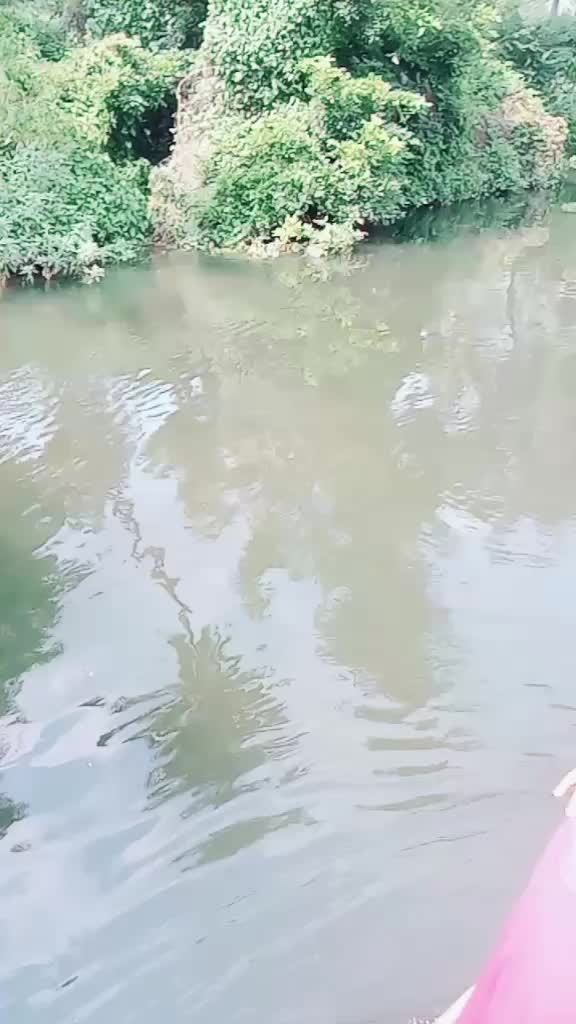 @saranya bala