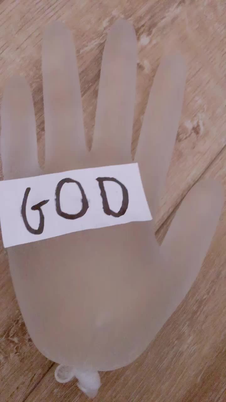 @THE GLOVE FAMILY