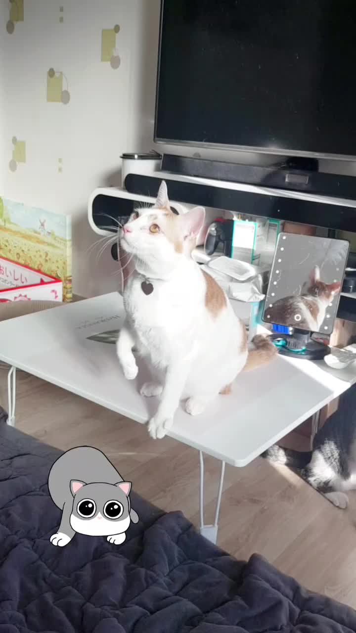 @이형균