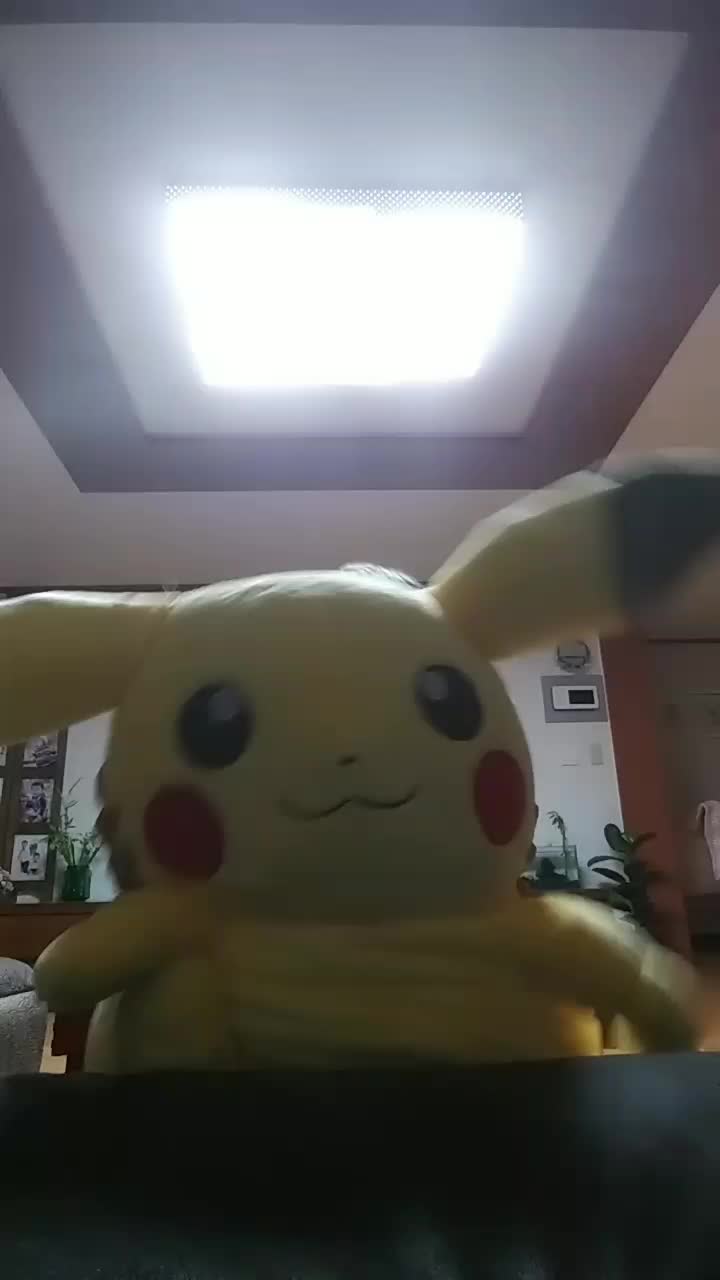 @피카츄