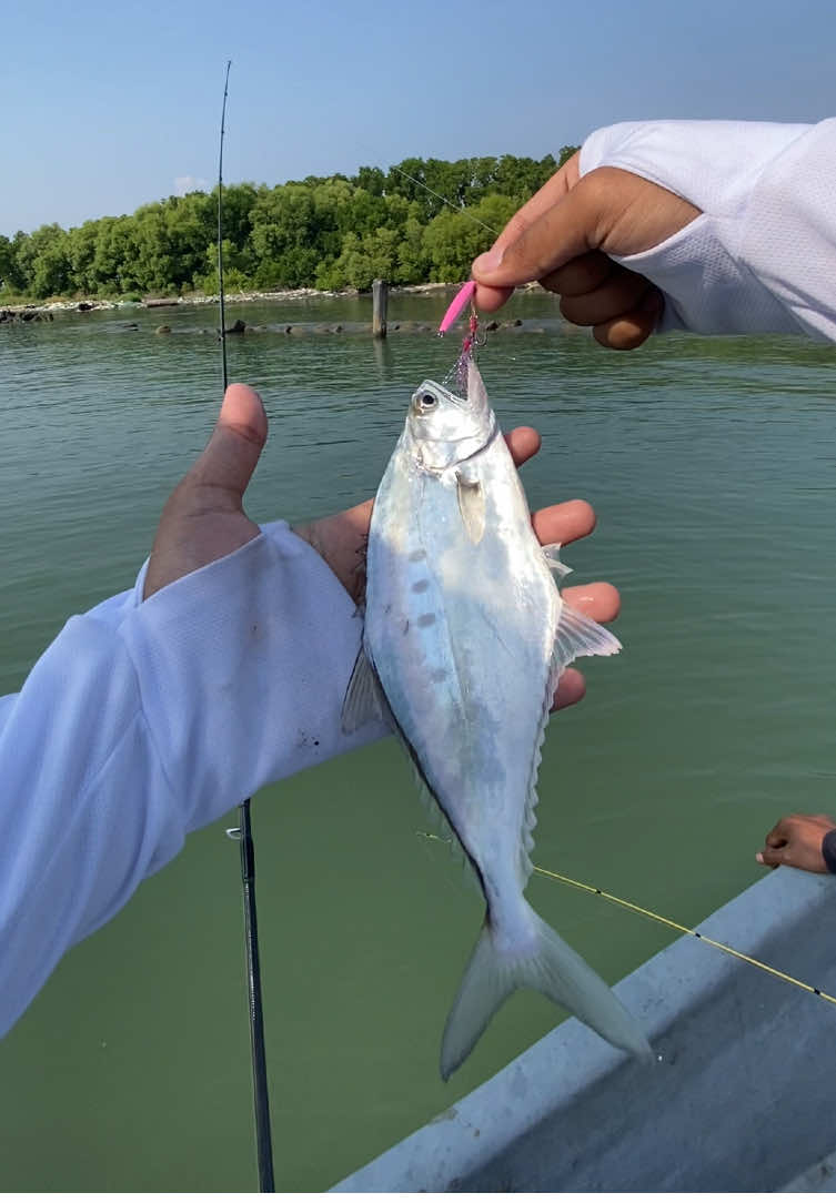 @Andalan Mancing