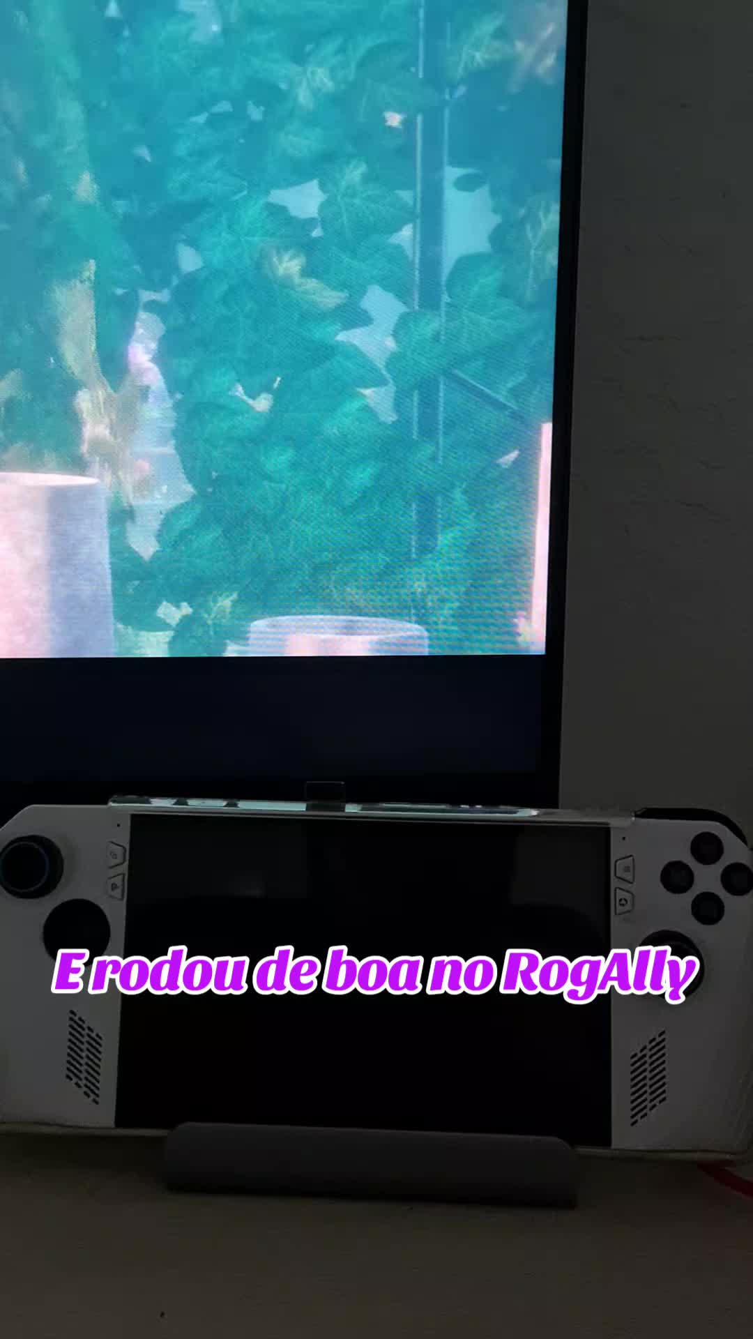 @BitsdeBolso