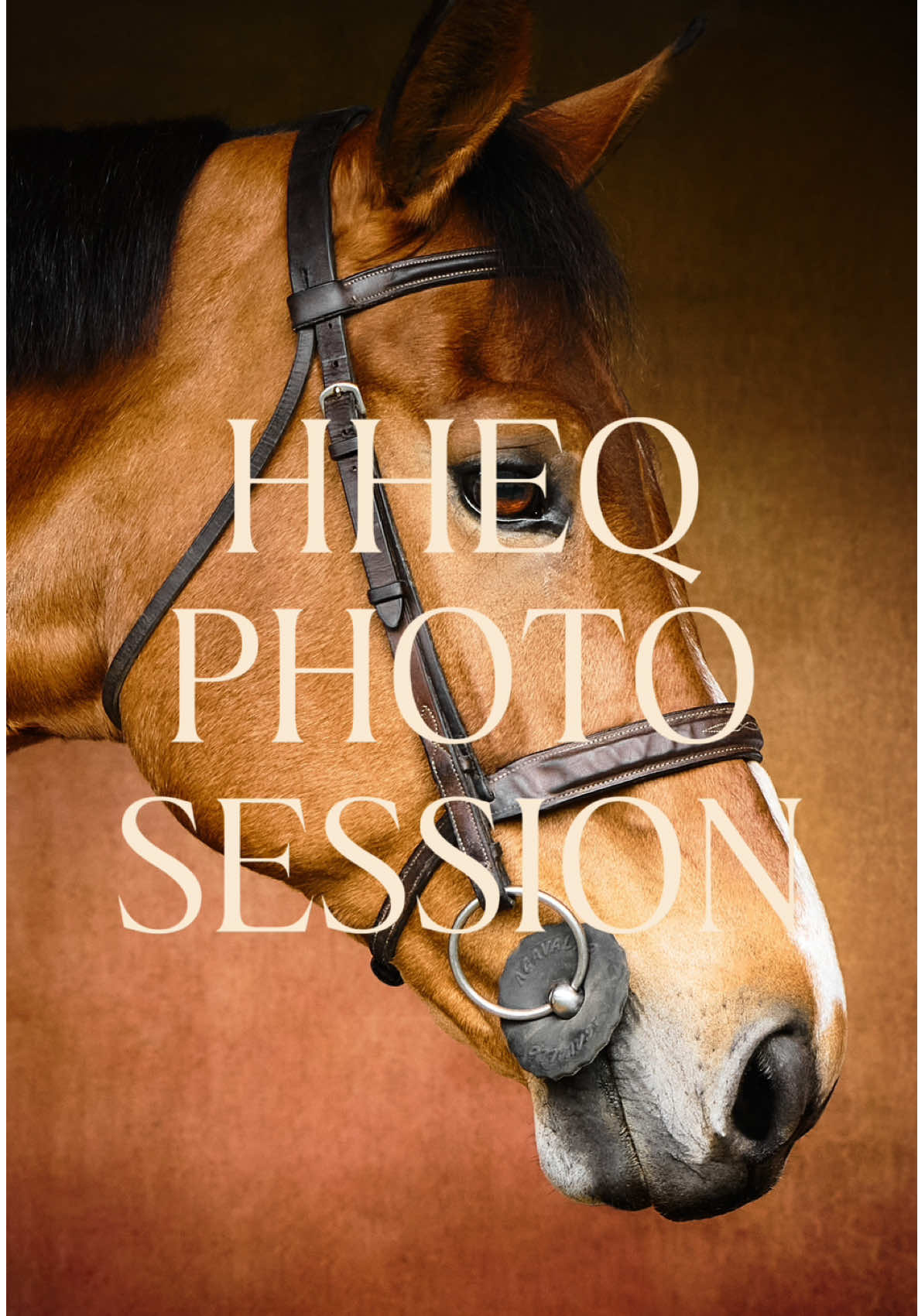 @hiddenhillsequestrian