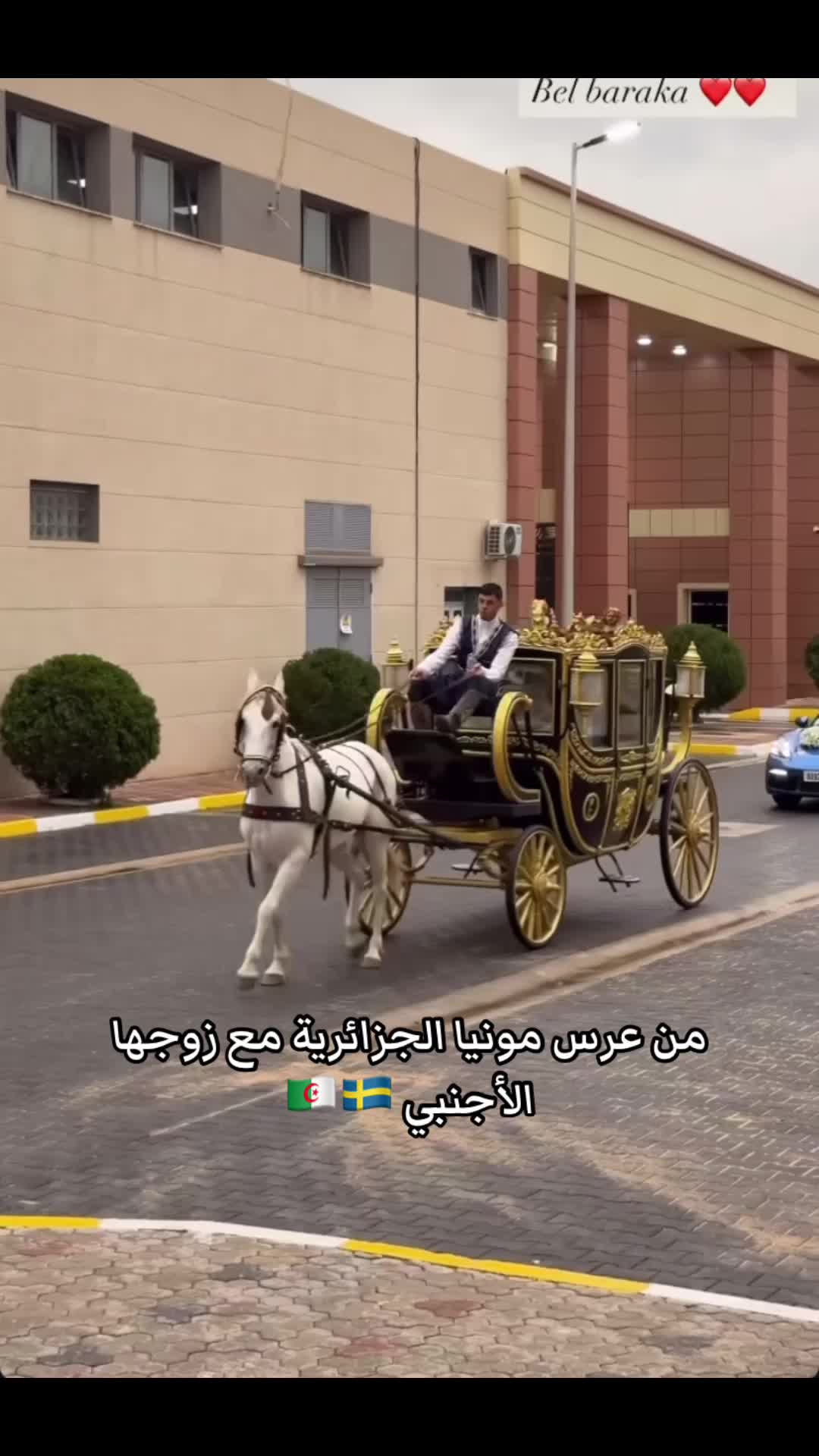 @noof_almari
