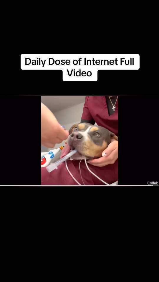 @TheDailyDoseRepost