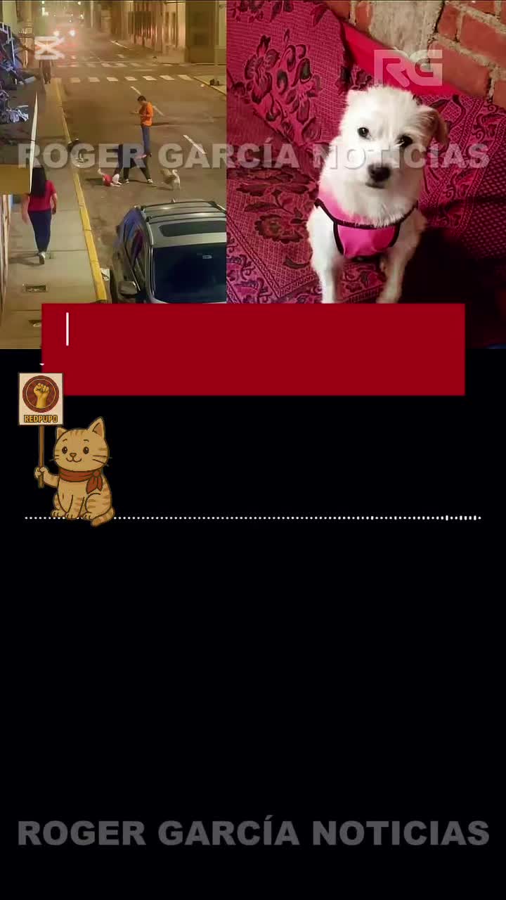 @Pupo