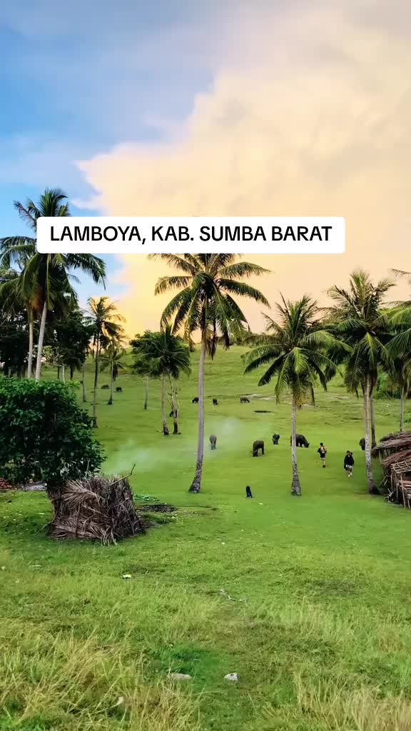 @Info Sumba
